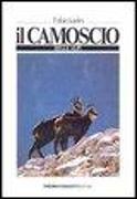 Il camoscio delle Alpi