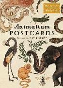 Animalium Postcards