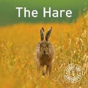 Hare Notepack, The