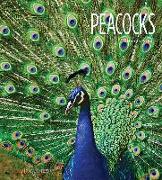 Peacocks