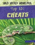 Top 10: Cheats