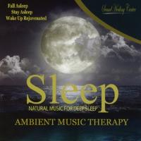 Sleep: Ambient Music Therapy