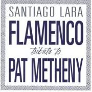 Flamenco Tribute To Pat Metheny