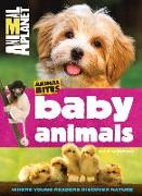 Baby Animals (Animal Planet Animal Bites)