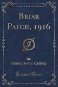 Briar Patch, 1916 (Classic Reprint)
