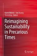 Reimagining Sustainability in Precarious Times