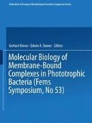 Molecular Biology of Membrane-Bound Complexes in Phototrophic Bacteria