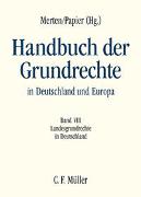 Handbuch der Grundrechte in Deutschland und Europa. Band VIII