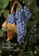 Wine Grape Varieties in California