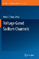 Voltage Gated Sodium Channels