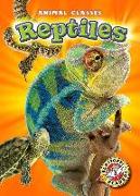 Reptiles