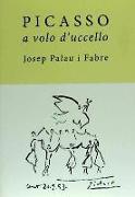 Picasso a volo d`uccello