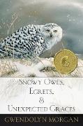 Snowy Owls, Egrets, and Unexpected Graces