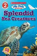 Splendid Sea Creatures