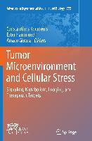 Tumor Microenvironment and Cellular Stress