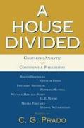 A House Divided: Comparing Analytic and Continental Philosophy