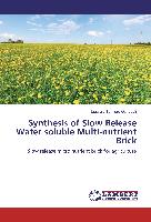 Synthesis of Slow Release Water soluble Multi-nutrient Brick