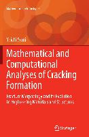 Mathematical and Computational Analyses of Cracking Formation