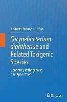 Corynebacterium diphtheriae and Related Toxigenic Species