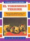 Yorkshire-terrier, el