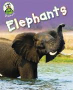 Froglets: Learners: Elephants