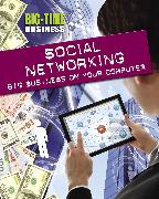 Big-Time Business: Social Networking: Big Business on Your Computer