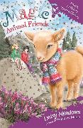 Magic Animal Friends: Emma Littleleap Takes a Chance: Book 23
