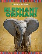 Animal Rescue: Elephant Orphans