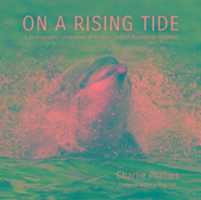 On a Rising Tide