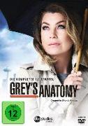 Grey's Anatomy - 12. Staffel