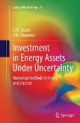 Investment in Energy Assets Under Uncertainty