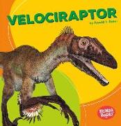Velociraptor