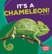 It's a Chameleon!