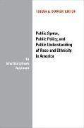 Public Space, Public Policy and Public Understanding of Race and Ethnicity in America: An Interdisciplinary Approach