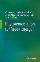 Phytoremediation for Green Energy