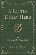 A Little Dusky Hero (Classic Reprint)