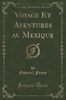 Voyage Et Aventures au Mexique (Classic Reprint)