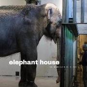 ELEPHANT HOUSE