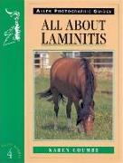 All about Laminitis No 4