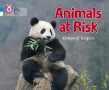 Animals at Risk