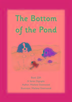 The Bottom of the Pond