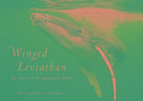 Winged Leviathan