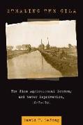 Stealing the Gila: The Pima Agricultural Economy and Water Deprivation, 1848-1921