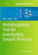 Multidisciplinary Tools for Investigating Synaptic Plasticity