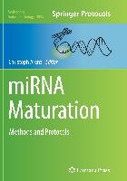 miRNA Maturation