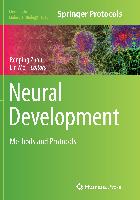 Neural Development