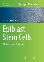 Epiblast Stem Cells