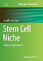 Stem Cell Niche