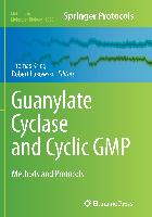 Guanylate Cyclase and Cyclic GMP