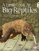 Bug Club Guided Non Fiction Year 1 Blue B A Little Look at Big Reptiles